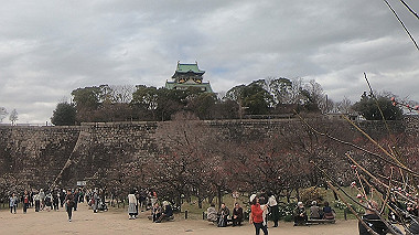 gx010480.mp4_snapshot_00.25_thumb.jpg