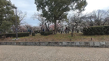 gx010482.mp4_snapshot_00.35_thumb.jpg
