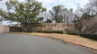 gx010484.mp4_snapshot_00.10_thumb.jpg