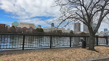 gx010488.mp4_snapshot_00.05_thumb.jpg