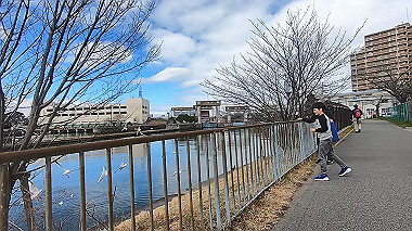 gx010493.mp4_snapshot_00.04_thumb.jpg