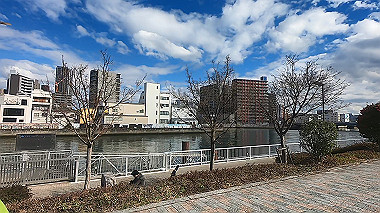 gx010535.mp4_snapshot_00.34_thumb.jpg