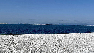2024-02-28_13-22-06_213_thumb.jpg
