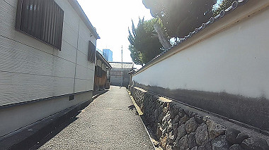 gx010561.mp4_snapshot_00.54_thumb.jpg
