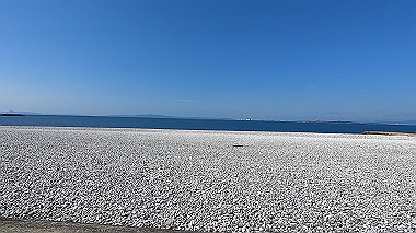 gx010575.mp4_snapshot_00.23_thumb.jpg