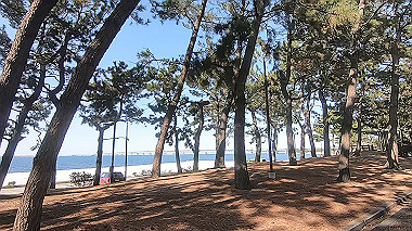 gx010585.mp4_snapshot_00.31_thumb.jpg