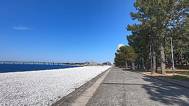 gx010586.mp4_snapshot_00.12_thumb.jpg