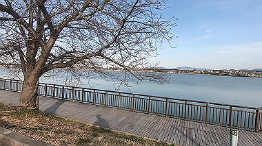 gx010608.mp4_snapshot_00.14_thumb.jpg