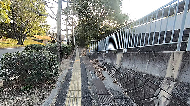 gx010613.mp4_snapshot_00.56_thumb.jpg