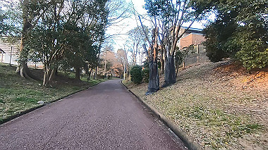 gx010617.mp4_snapshot_13.30_thumb.jpg