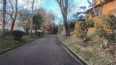 gx010617.mp4_snapshot_13.41_thumb.jpg