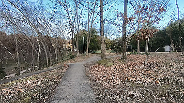 gx010618.mp4_snapshot_00.20_thumb.jpg