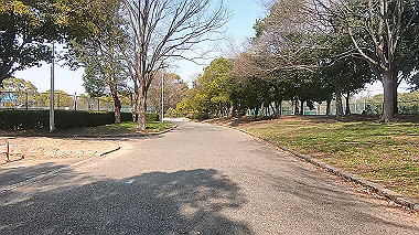 gx010624.mp4_snapshot_00.05_thumb.jpg