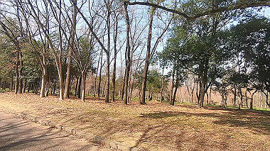 gx010627.mp4_snapshot_00.03_thumb.jpg