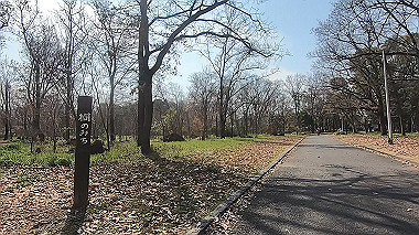 gx010627.mp4_snapshot_00.13_thumb.jpg