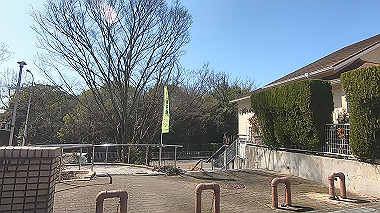 gx010631.mp4_snapshot_00.11_thumb.jpg