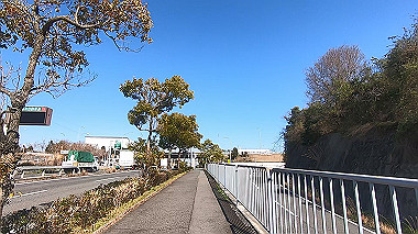 gx010635.mp4_snapshot_10.00_thumb.jpg