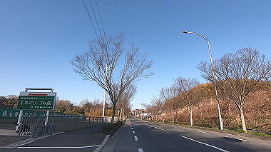 gx010638.mp4_snapshot_01.45_thumb.jpg