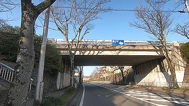 gx010638.mp4_snapshot_03.22_thumb.jpg