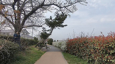 gx010644.mp4_snapshot_00.00_thumb.jpg
