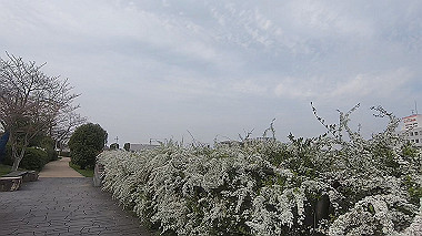 gx010644.mp4_snapshot_00.03_thumb.jpg