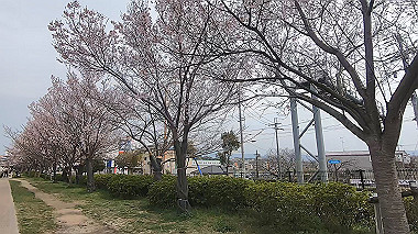 gx010645.mp4_snapshot_00.29_thumb.jpg
