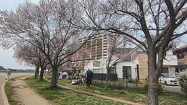 gx010646.mp4_snapshot_00.50_thumb.jpg