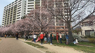 gx010646.mp4_snapshot_01.17_thumb.jpg