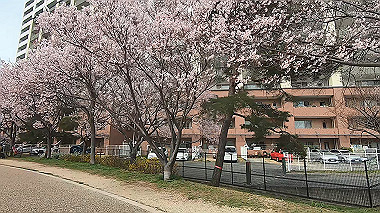 gx010646.mp4_snapshot_01.24_thumb.jpg