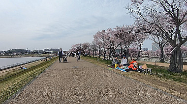 gx010650.mp4_snapshot_00.44_thumb.jpg