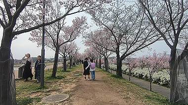gx010651.mp4_snapshot_00.07_thumb.jpg