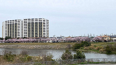 2024-04-02_14-01-55_425_thumb.jpg