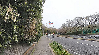 gx010655.mp4_snapshot_00.12_thumb.jpg