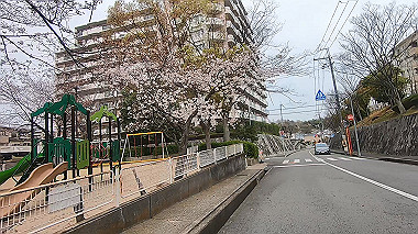 gx010657.mp4_snapshot_00.07_thumb.jpg
