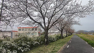 gx010662.mp4_snapshot_00.34_thumb.jpg