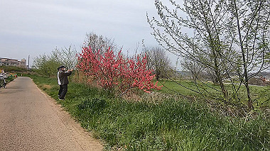 gx010664.mp4_snapshot_03.36_thumb.jpg