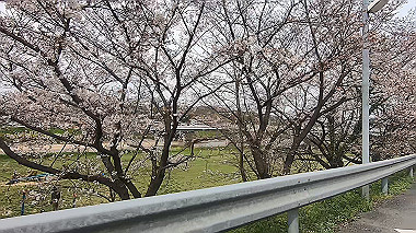 gx010668.mp4_snapshot_01.22_thumb.jpg