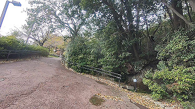 gx010672.mp4_snapshot_00.19_thumb.jpg