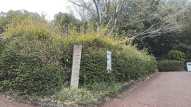 gx010672.mp4_snapshot_01.03_thumb.jpg