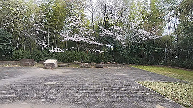 gx010673.mp4_snapshot_00.10_thumb.jpg