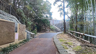 gx010674.mp4_snapshot_00.22_thumb.jpg