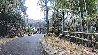 gx010674.mp4_snapshot_00.35_thumb.jpg