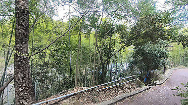 gx010675.mp4_snapshot_00.14_thumb.jpg