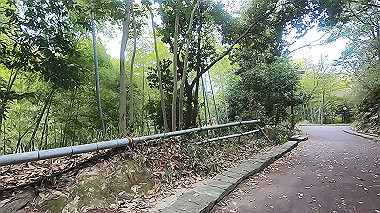 gx010676.mp4_snapshot_00.01_thumb.jpg