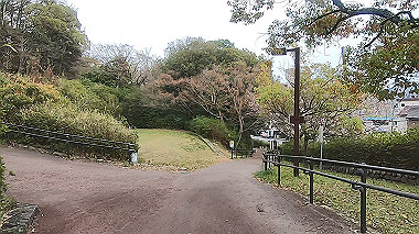 gx010677.mp4_snapshot_00.12_thumb.jpg