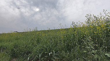 gx010685.mp4_snapshot_00.03_thumb.jpg