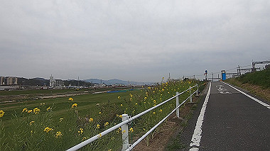 gx010686.mp4_snapshot_00.03_thumb.jpg