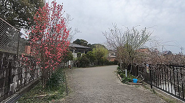 gx010689.mp4_snapshot_00.03_thumb.jpg
