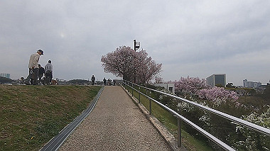 gx010692.mp4_snapshot_00.00_thumb.jpg
