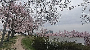 gx010693.mp4_snapshot_00.04_thumb.jpg